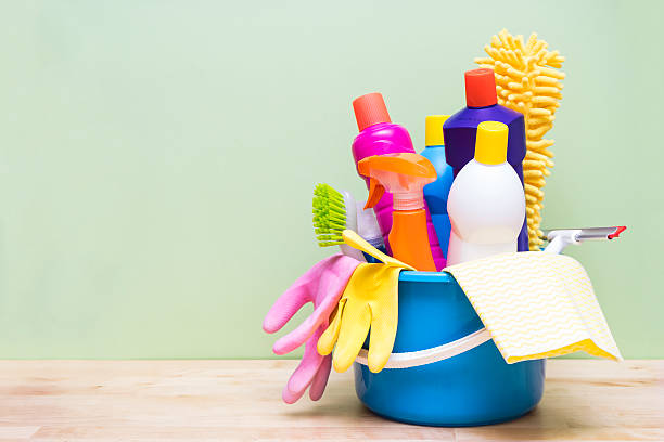 Domestic Cleaning Services Domestic Cleaning Services