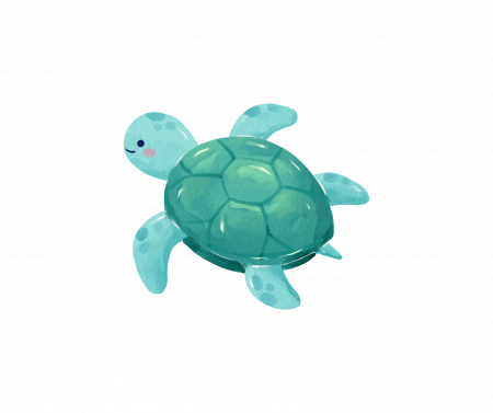 Turtle Level