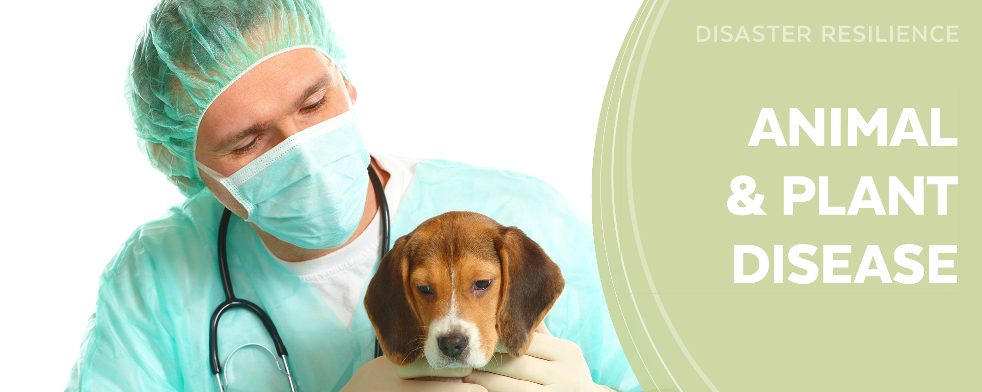 Animal and Plant Disease