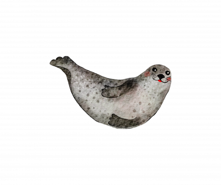 Seal Level