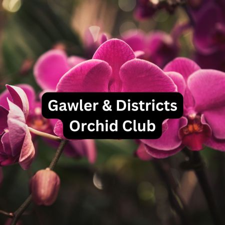 Community Group