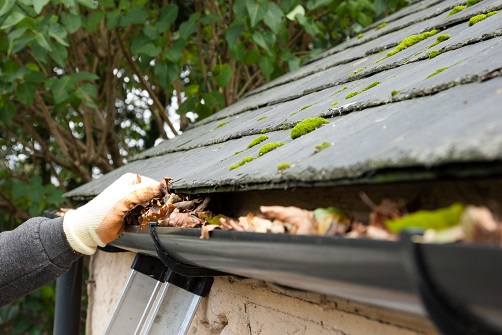 Home Maintenance 
