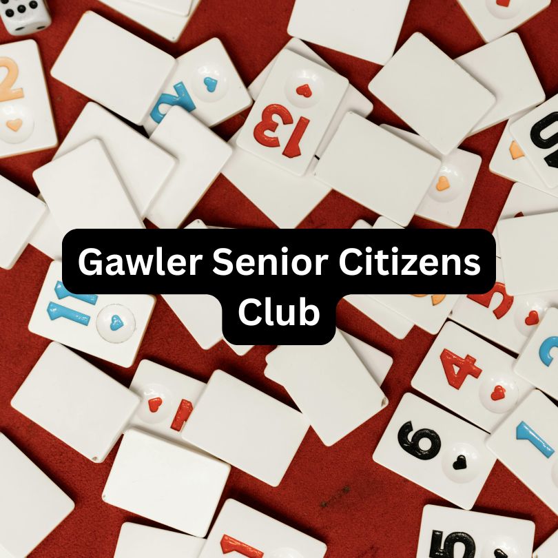 Social group