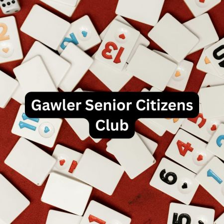Social group