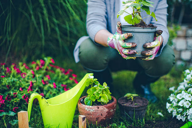 Gardening Services Gardening Services
