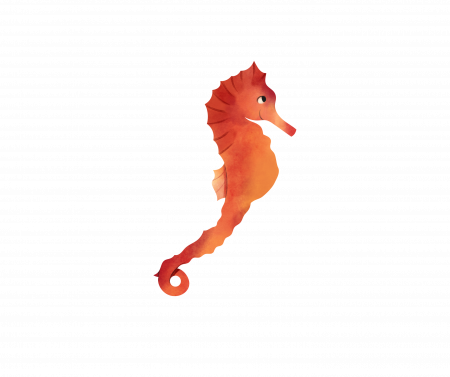 Seahorse Level