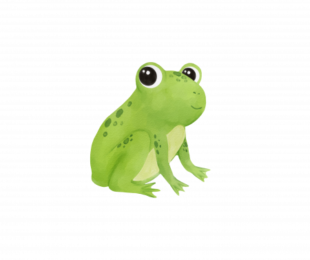 Frog Level