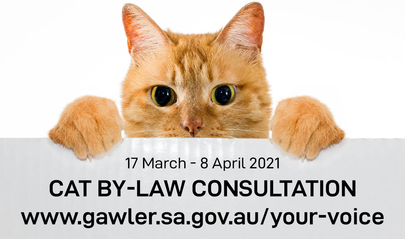 Cat By law - 8 April