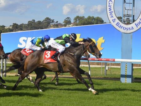 Horses racing