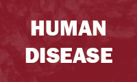 Human Disease